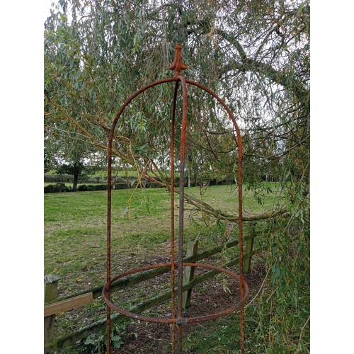 925 - Pair of wrought iron obelisks with cast iron tree surrounds with sphere finials {Obelisks H 230cm x ... 