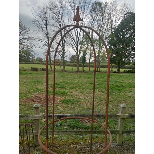 925 - Pair of wrought iron obelisks with cast iron tree surrounds with sphere finials {Obelisks H 230cm x ... 