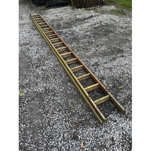 929 - Early 20th C. Set of wooden ladders {490 cm H x 37 cm W}.