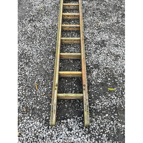 929 - Early 20th C. Set of wooden ladders {490 cm H x 37 cm W}.