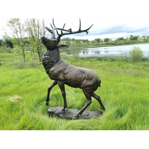 877 - Exceptional life size bronze model of Stag on craggy rock. {230 cm H x 150 cm W x 60 cm D}.