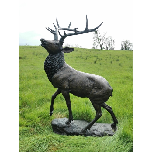 877 - Exceptional life size bronze model of Stag on craggy rock. {230 cm H x 150 cm W x 60 cm D}.