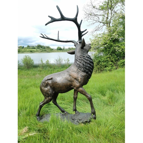 877 - Exceptional life size bronze model of Stag on craggy rock. {230 cm H x 150 cm W x 60 cm D}.