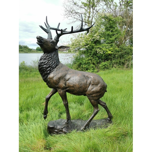 877 - Exceptional life size bronze model of Stag on craggy rock. {230 cm H x 150 cm W x 60 cm D}.