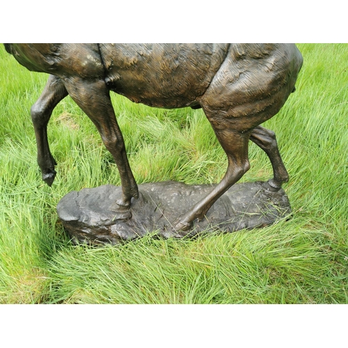 877 - Exceptional life size bronze model of Stag on craggy rock. {230 cm H x 150 cm W x 60 cm D}.