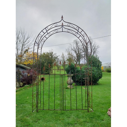 894A - Wrought iron rose arch with double gate {239 cm H x 133 cm W x 36 cm D}.