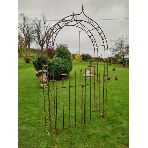 894A - Wrought iron rose arch with double gate {239 cm H x 133 cm W x 36 cm D}.