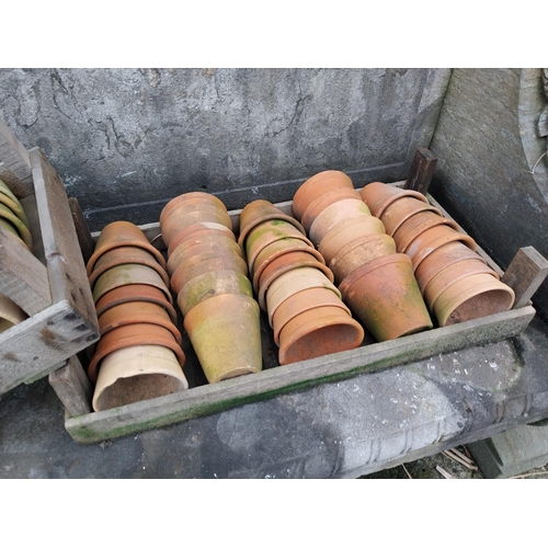 904A - Collection of sixty nine early 20th C. terracotta pots in wooden boxes {11 cm H x 11 cm Dia.}.