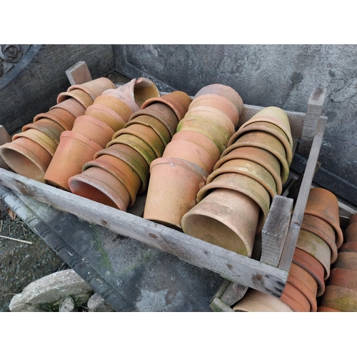 904A - Collection of sixty nine early 20th C. terracotta pots in wooden boxes {11 cm H x 11 cm Dia.}.