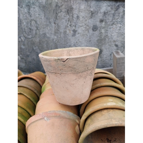 904A - Collection of sixty nine early 20th C. terracotta pots in wooden boxes {11 cm H x 11 cm Dia.}.