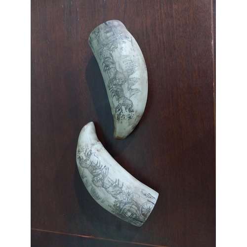 471 - Pair of resin scrimshaw tusks. {16 m H x 6 cm W x 6 cm D}.