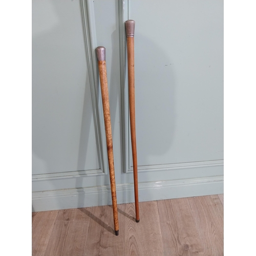 486 - Two 19th C. Silver topped walking sticks. {88 cm H} and {90 cm H}.