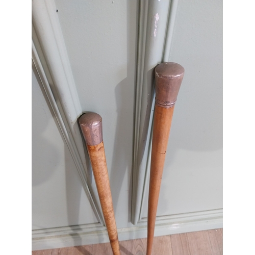 486 - Two 19th C. Silver topped walking sticks. {88 cm H} and {90 cm H}.