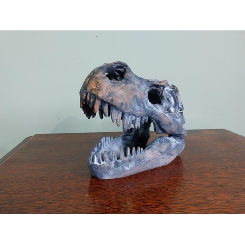 65 - Resin model of a Dinosaur skull. {15 cm H x 12 cm W x 20 cm D}.