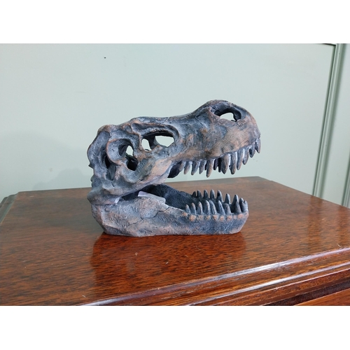 65 - Resin model of a Dinosaur skull. {15 cm H x 12 cm W x 20 cm D}.