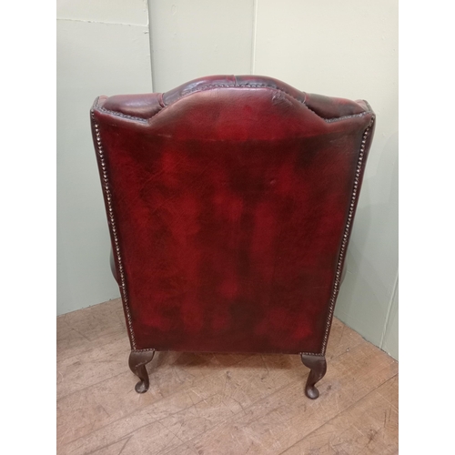 34 - Deep buttoned leather wingback armchair raised on cabriole legs and castors .  {H 104cm x W 78cm x D... 