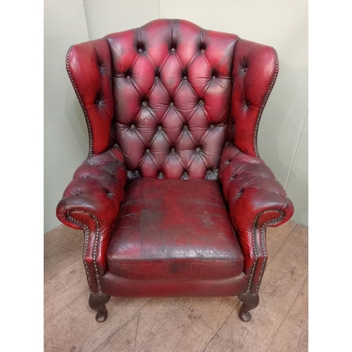 34 - Deep buttoned leather wingback armchair raised on cabriole legs and castors .  {H 104cm x W 78cm x D... 