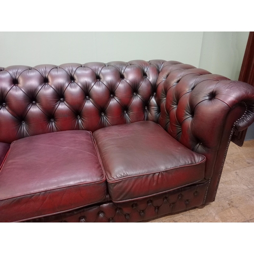 59 - Deep buttoned Chesterfield three seater red leather sofa raised on wooden bun feet  {H 76cm x W 194c... 