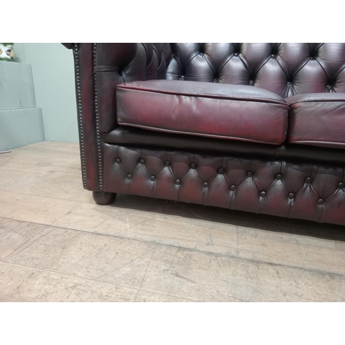 59 - Deep buttoned Chesterfield three seater red leather sofa raised on wooden bun feet  {H 76cm x W 194c... 