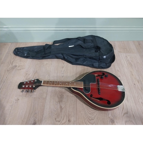 136 - Richwood Mandolin in soft case.