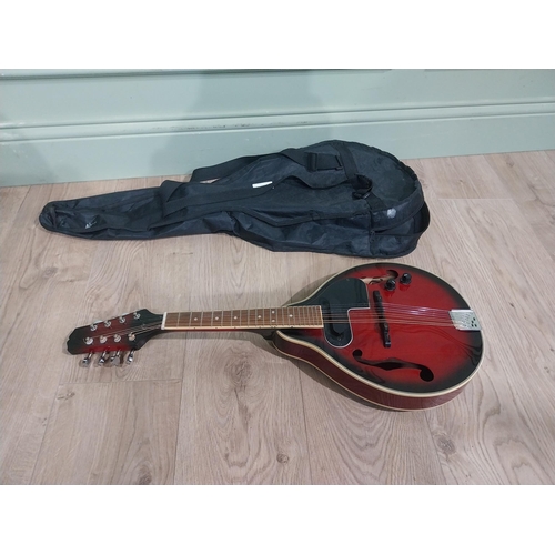 136 - Richwood Mandolin in soft case.