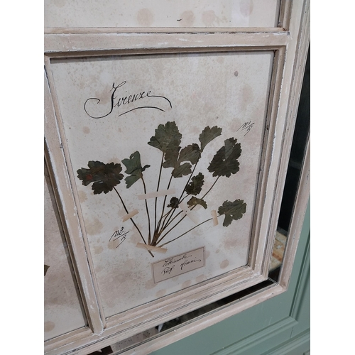 153 - Italian pressed flowers mounted in painted pine and mirrored frame. {102 cm H x 80 cm W}