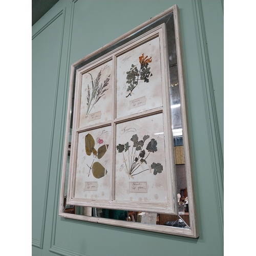 153 - Italian pressed flowers mounted in painted pine and mirrored frame. {102 cm H x 80 cm W}