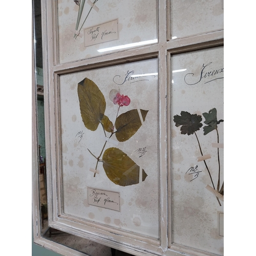 153 - Italian pressed flowers mounted in painted pine and mirrored frame. {102 cm H x 80 cm W}