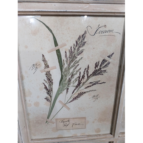 153 - Italian pressed flowers mounted in painted pine and mirrored frame. {102 cm H x 80 cm W}