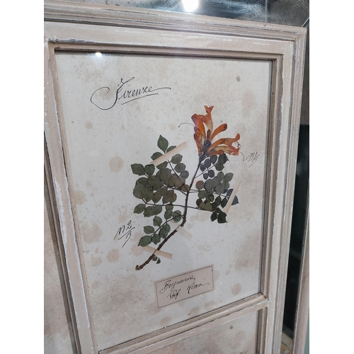 153 - Italian pressed flowers mounted in painted pine and mirrored frame. {102 cm H x 80 cm W}