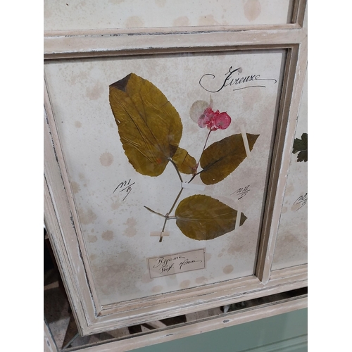 153 - Italian pressed flowers mounted in painted pine and mirrored frame. {102 cm H x 80 cm W}