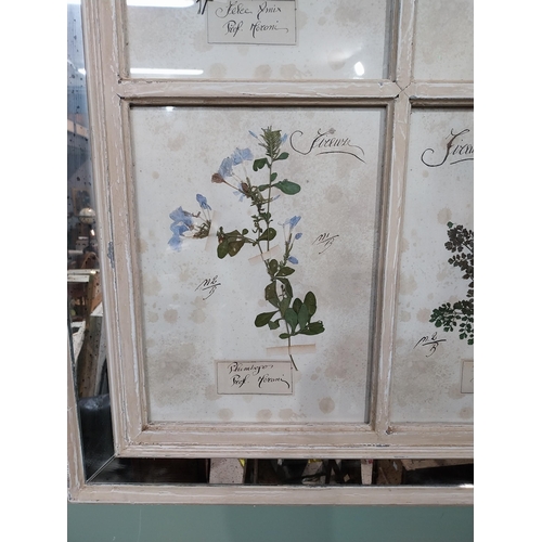 154 - Italian pressed flowers mounted in painted pine and mirrored frame. {102 cm H x 80 cm W}