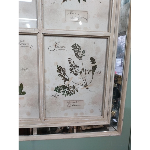 154 - Italian pressed flowers mounted in painted pine and mirrored frame. {102 cm H x 80 cm W}