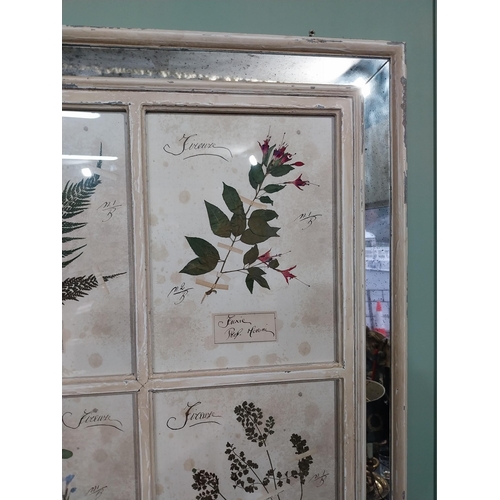 154 - Italian pressed flowers mounted in painted pine and mirrored frame. {102 cm H x 80 cm W}