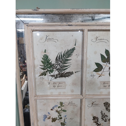 154 - Italian pressed flowers mounted in painted pine and mirrored frame. {102 cm H x 80 cm W}