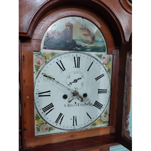 180 - 19th C. Irish mahogany Grandfather clock with swan neck pediment and painted dial by J Black Lurgan.... 