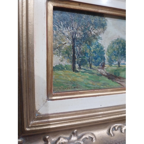 230 - R Nitche Elderly Lady oil on board mounted in gilt frame {40 cm H x 34 cm W} and Woodland Scene oil ... 