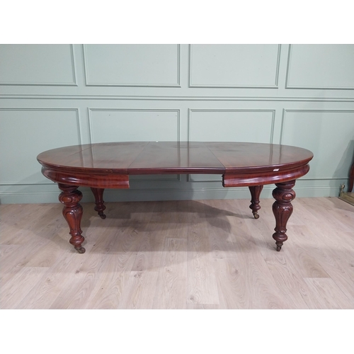 254 - Victorian mahogany D end dining table on four turned legs and brass castors. {73 cm H x 210 cm W x 1... 