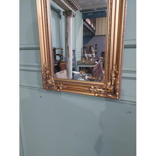 30 - Good quality gilt pier mirror in the Victorian manner. {179 cm H x 43 cm W}.