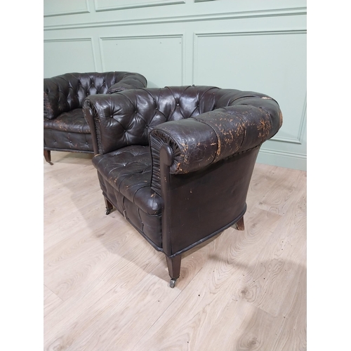 331 - Pair of 19th C hand dyed leather deep buttoned Chesterfield club chairs on tapered feet and castors.... 