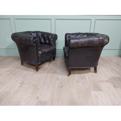 331 - Pair of 19th C hand dyed leather deep buttoned Chesterfield club chairs on tapered feet and castors.... 