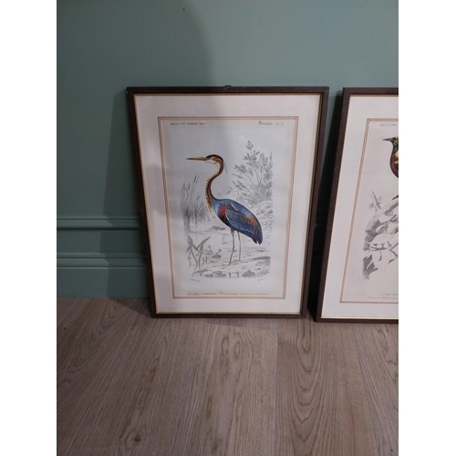 372 - Set of four early 20th C. French coloured prints of Birds � Pheasant, Heron, Bird of Paradise and Ja... 