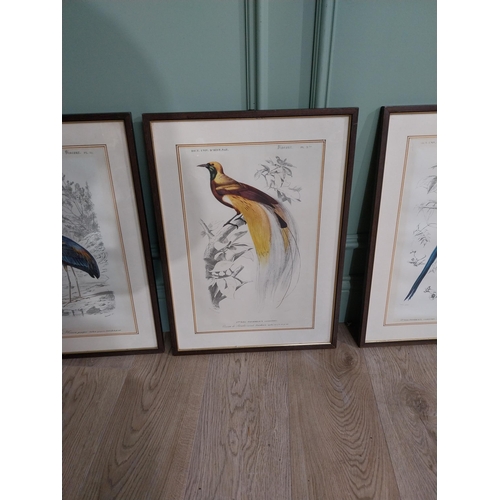 372 - Set of four early 20th C. French coloured prints of Birds � Pheasant, Heron, Bird of Paradise and Ja... 