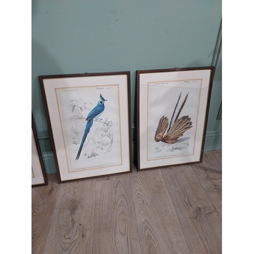 372 - Set of four early 20th C. French coloured prints of Birds � Pheasant, Heron, Bird of Paradise and Ja... 