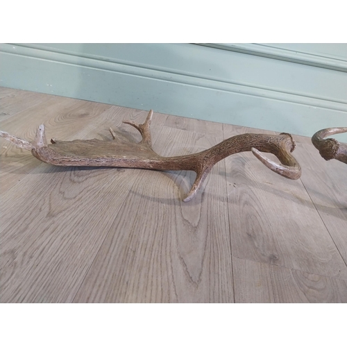 424 - Pair of resin Stag antlers. {50 cm H x 47 cm W}.