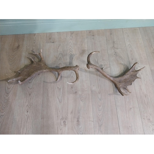 424 - Pair of resin Stag antlers. {50 cm H x 47 cm W}.