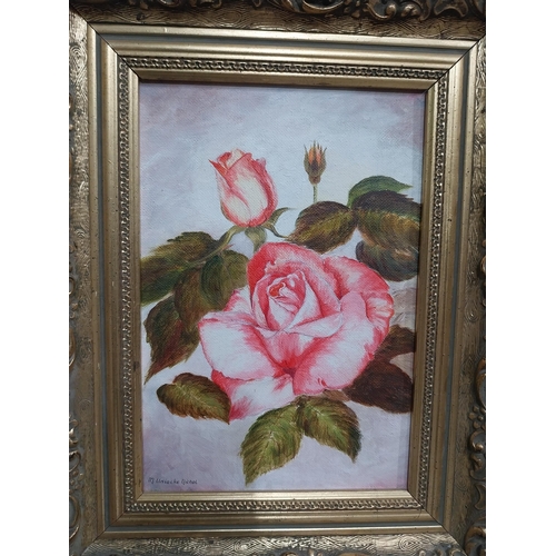 443 - Oil on board Howth Pier {36 cm H x 48 cm W} and on board Pink Rose by May Uniacke Nichol{28 cm H x 2... 