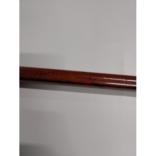 707 - Royal Essex Regiment walnut swagger stick with metal mounts.  {90 cm L}.