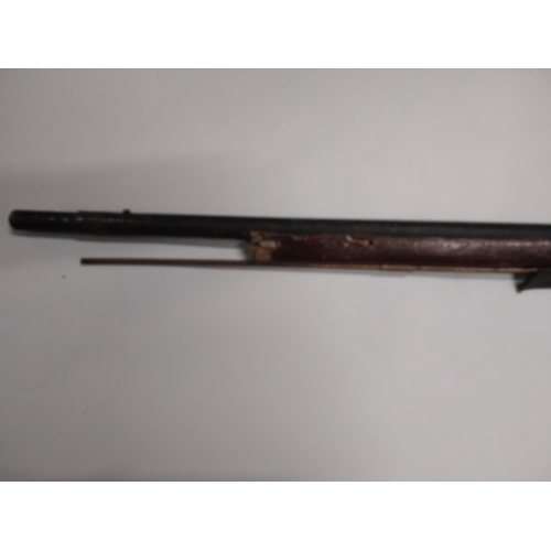 716 - 19th C. percussion capped rifle. {146 cm L}.