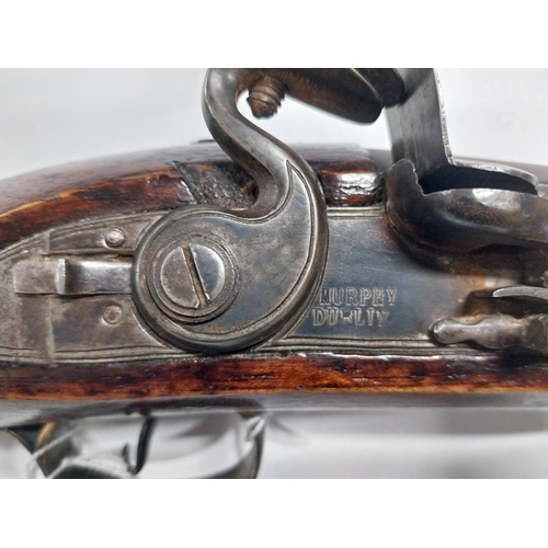 722 - Flintlock blunderbuss with brass barrel stamped Omagh Mail and ramrod. Stamped Murphy Dublin. {87 cm... 